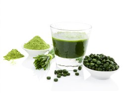 Chlorella
